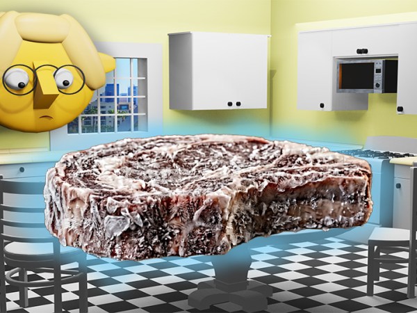 You Forgot to Defrost. Here’s How to Not Ruin&nbsp;Dinner.