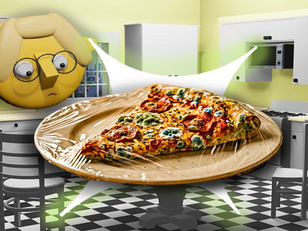 How Old Does a Leftover Have to&nbsp;Get?