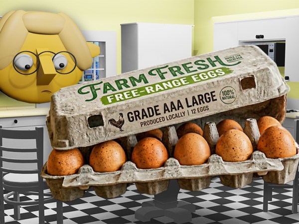Decoding the Egg&nbsp;Carton